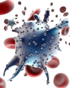 virus tuberculoza virus tuberculoza